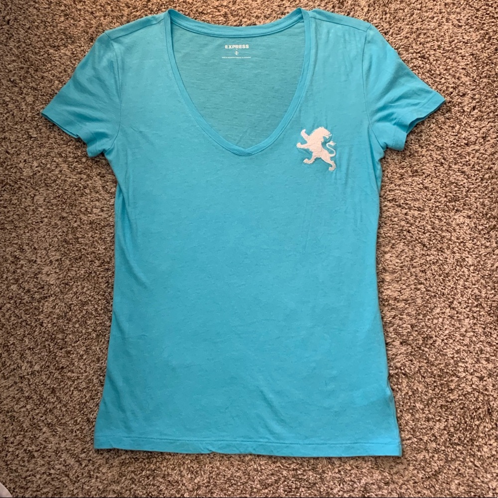 Express light blue v-neck